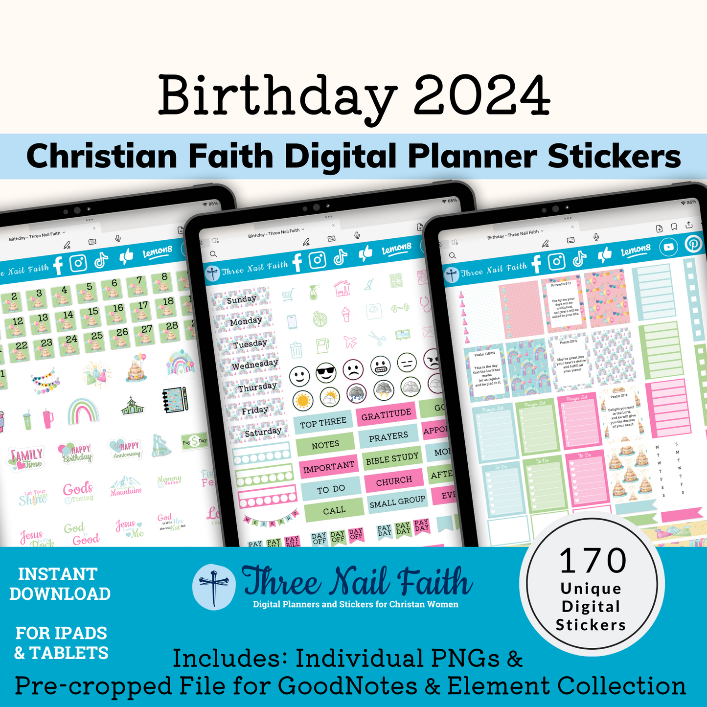 Birthday Party 2024 Digital planner sticker with 170 individual stickers